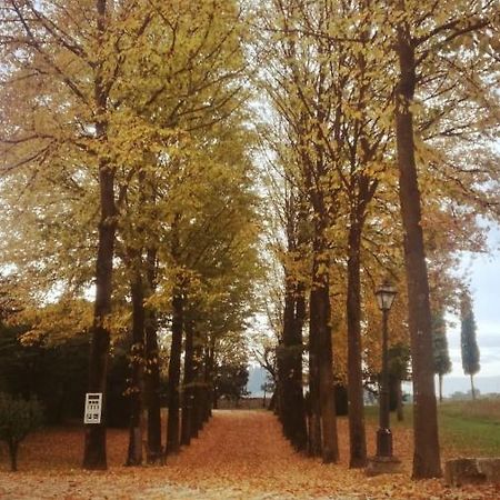 Relais Villa Gozzi B&B アルクニャーノ エクステリア 写真