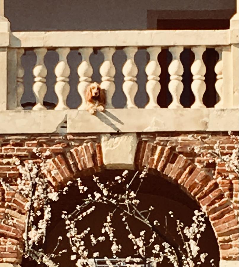 Relais Villa Gozzi B&B アルクニャーノ エクステリア 写真