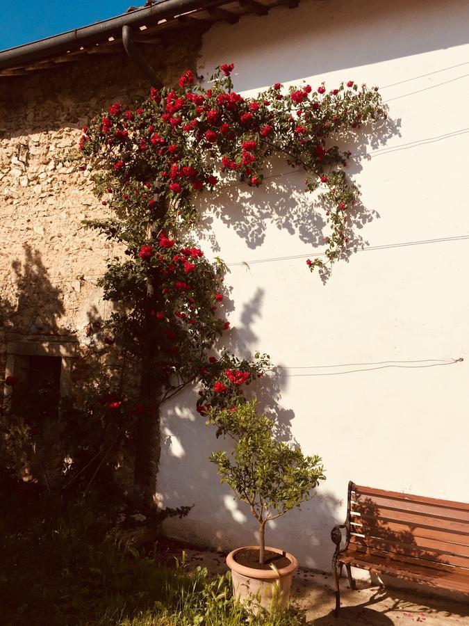 Relais Villa Gozzi B&B アルクニャーノ エクステリア 写真