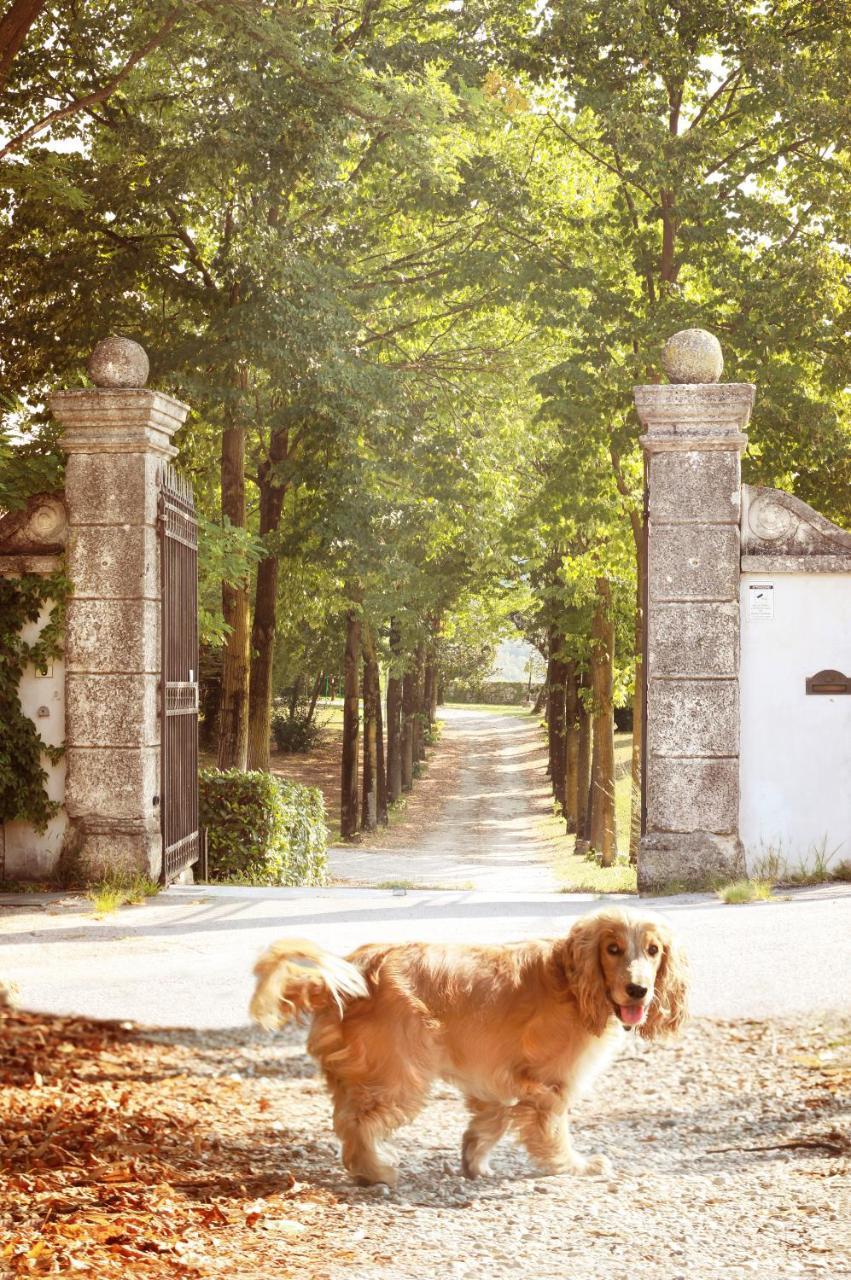 Relais Villa Gozzi B&B アルクニャーノ エクステリア 写真