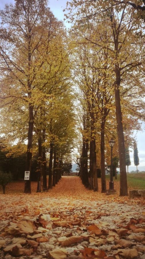 Relais Villa Gozzi B&B アルクニャーノ エクステリア 写真
